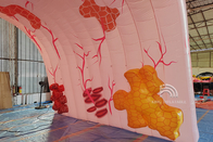 Kustom Raksasa Inflatable Paru-paru Acara Medis Tema Iklan Organ Manusia Model Tabung Usus Besar