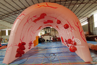 Kustom Raksasa Inflatable Paru-paru Acara Medis Tema Iklan Organ Manusia Model Tabung Usus Besar