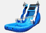 16 ft Dolphin Rush Wave Komersial Tiup Air Slide 7 * 4 * 5m
