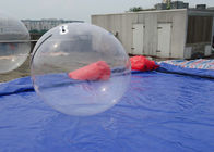 Bola Inflatable Transparan Berjalan Di Atas Air