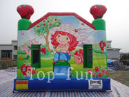 Anak-anak Disesuaikan Inflatable Jumping Castle CE / UL Blower Untuk Indoor / Outdoor