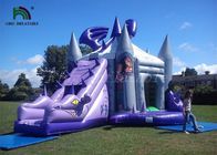 Ungu / Abu-abu Inflatable Jumping Castle Dengan Dragon Slide Roofed Playground