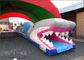 Shark PVC Inflatable Water Slide , Custom Amazing Thrilling Mini City Slide