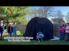 King12 Pengungkapan Jenis Kelamin