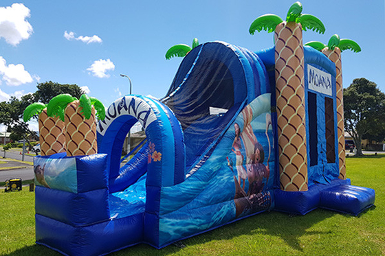 Inflatable Bouncy Castle Luar Ruangan Anak-anak Dewasa Melompat Rumah Bouncing Dengan Slide Untuk Sewa