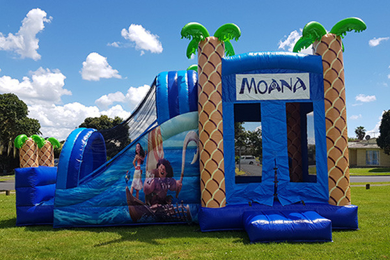 Inflatable Bouncy Castle Luar Ruangan Anak-anak Dewasa Melompat Rumah Bouncing Dengan Slide Untuk Sewa