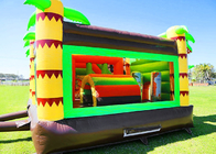Dewasa Dan Anak-anak permainan luar ruangan 0.55mm PVC Dinosaur Inflatable Bouncy Castle Rental