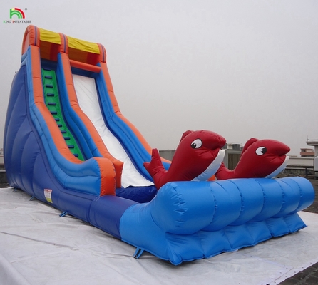 Taman Hiburan Kualitas Tinggi Gelombang Air Air basah Slide untuk Bisnis Sewa