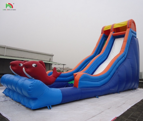 Taman Hiburan Kualitas Tinggi Gelombang Air Air basah Slide untuk Bisnis Sewa