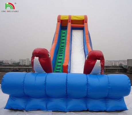 Taman Hiburan Kualitas Tinggi Gelombang Air Air basah Slide untuk Bisnis Sewa