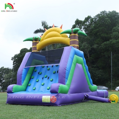 Slide air bergelombang ganda dengan penghalang kolam renang untuk mendaki Slide kolam renang bergelombang