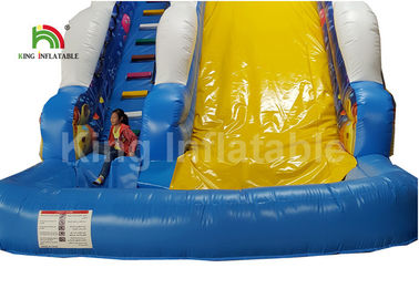 Tusukan - Bukti Ocean World Dolphin Inflatable Air Slide / Outdoor Inflatable Playground