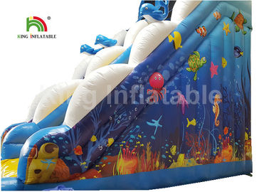 Tusukan - Bukti Ocean World Dolphin Inflatable Air Slide / Outdoor Inflatable Playground
