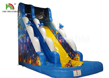 Tusukan - Bukti Ocean World Dolphin Inflatable Air Slide / Outdoor Inflatable Playground