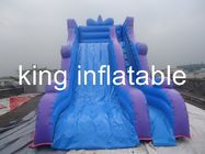 Slide Dry Inflatable Outdoor Durable Dengan Sederhana Tapi Umum Untuk Taman Hiburan