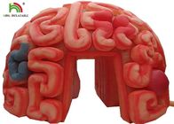 Raksasa 4m Inflatable Brain Replica Organ Buatan Untuk Pendidikan SGS EN71
