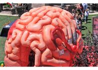 Raksasa 4m Inflatable Brain Replica Organ Buatan Untuk Pendidikan SGS EN71