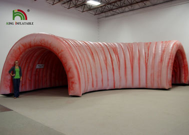 6m Besar Kolon Inflatable Terowongan Jantung Komersial Rumah Bouncing Flame Retardant