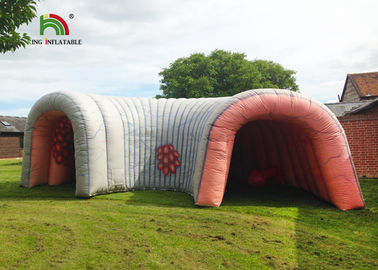 6m Besar Kolon Inflatable Terowongan Jantung Komersial Rumah Bouncing Flame Retardant