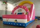 PVC Tarpaulin Kid Theme Slide Tiup Kering Dengan Rumah Bouncing Untuk Taman Hiburan
