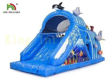 Dunia Laut Berwarna-warni Anak-anak Mainan Dalam Ruangan Tiup Kendala dengan Bahan PVC Tahan Api