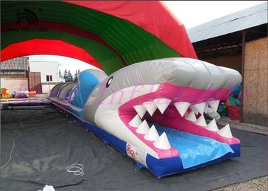 Seluncur Air Tiup PVC Tiup, Slide Kota Mini Menakjubkan Kustom yang Mendebarkan