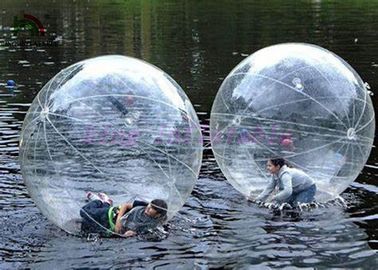 Hiburan Keluarga Inflatable Walk On Water Ball mandiri Tanpa Warna