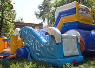 Tropic Dolphin Theme Meledakkan Combo Play Park Untuk Backyard Fun