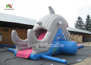 Slide Air Tiup Tiup Tinggi 6m Dengan Kolam Renang Tiup Kecil Untuk Anak-Anak