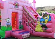 Waterproof 5x4m Inflatable Jumping Castle Pesta Ulang Tahun Disesuaikan Princess Palace