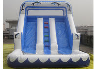 Tiga baris Inflatable Water Slide Dengan Pool Untuk Anak-Anak / Dewasa Inflatable Slide Park