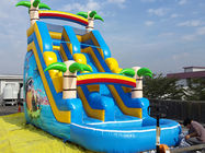 Anak Inflatable Water Slide