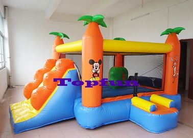 Kartun Rumah Bouncing Komersial Bertema Dengan Net Door dan Slide